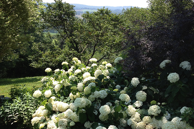 Highgrove Cottage